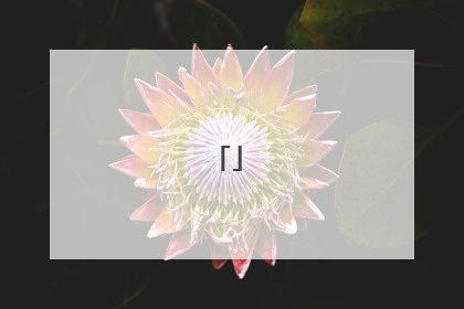 骂黑粉的话大全 怎么骂黑粉